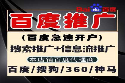 解析百度搜索推广的广告投放策略及效果